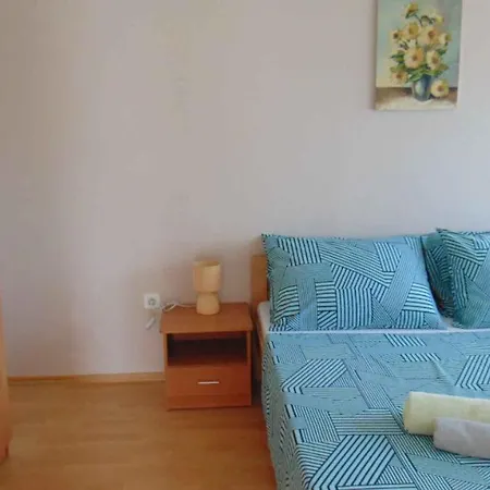 Apartment In Rovinj/istrien 11703